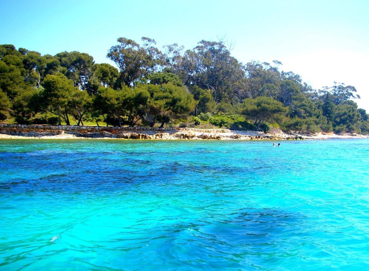 Magnifique "Gite De La Garoupe" Au Cap D'Antibes A 300M Des Plages מראה חיצוני תמונה